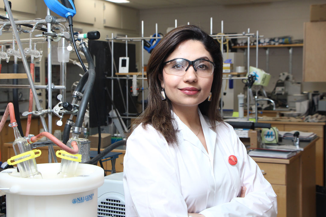 Dr. Elaheh Khozeimeh Sarbisheh (PhD) previously chaired the University of Saskatchewan-Women in Chemistry (USask-WiC) group. (Photo: Chris Putnam)