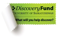 Picture of Discovery Fund