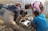Picture of Environment and Sustainability