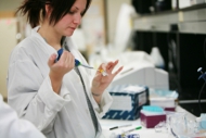 Picture of Graduate Studies and Research