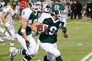 Picture of Huskie Athletics