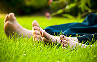Picture of Chair Pesticide Toxicology and Human Health