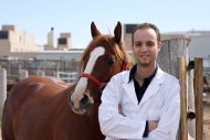 Picture of Western College of Veterinary Medicine