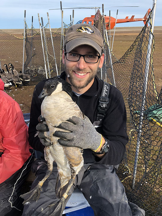 Mitch Weegman holds a cackling goose on Baffin Island, Nunavut, in August 2019 as part of a project to measure the birds’ survival and harvest rates. (Photo: Submitted by Mitch Weegman)