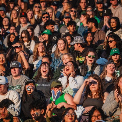 Crowd shot at Homecoming game